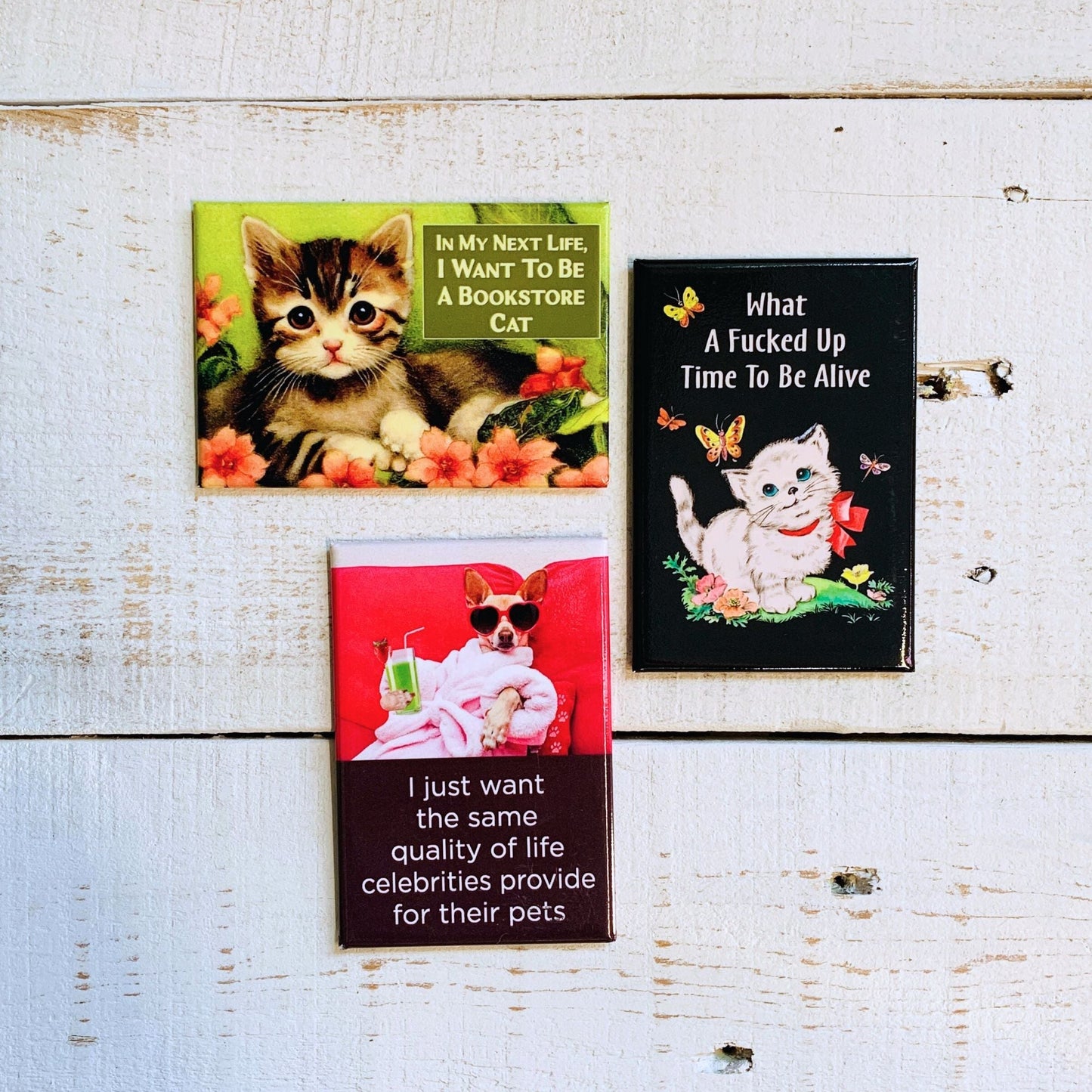 What A Fucked Up Time To Be Alive Kitten Fridge Magnet