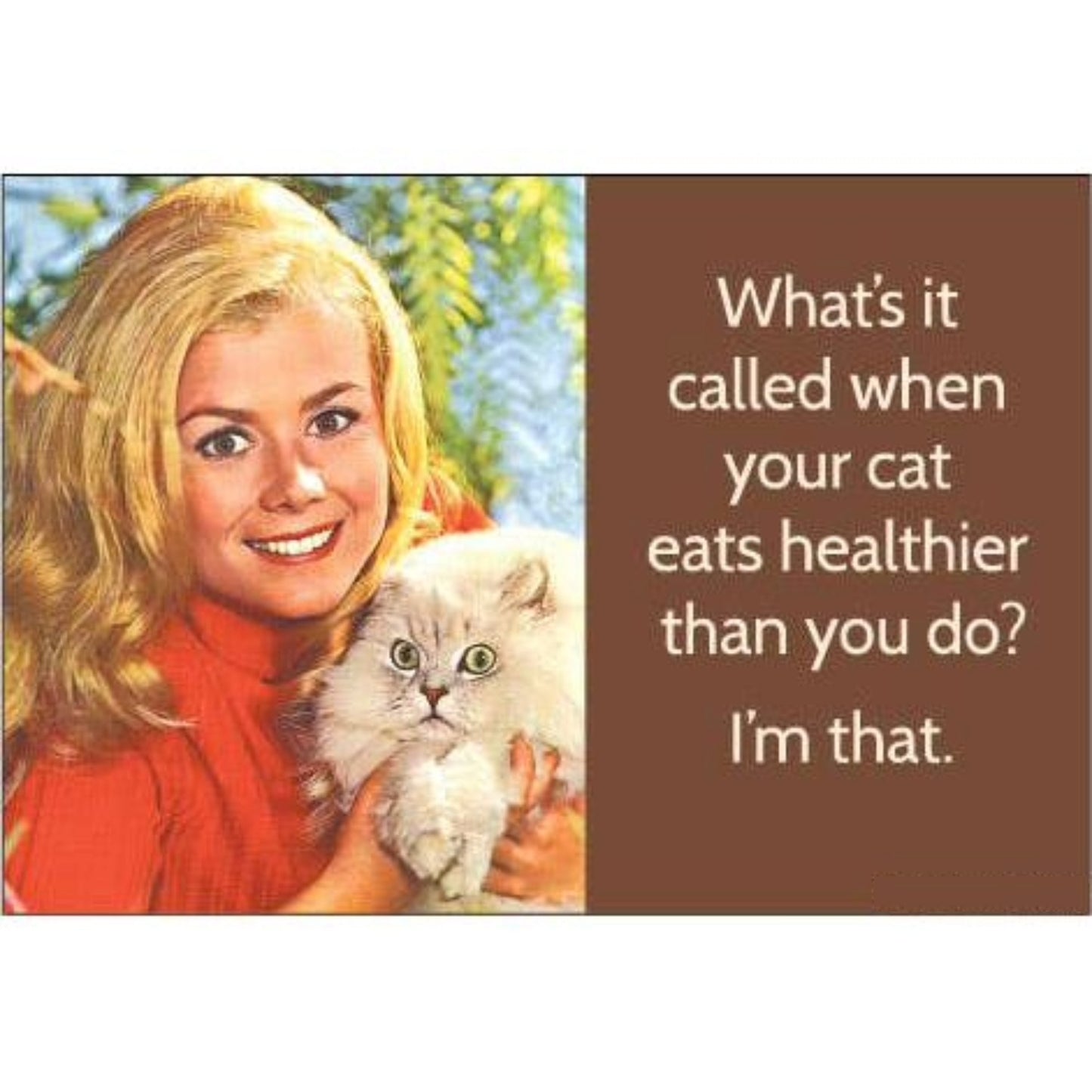 What's It Called When Your Cat Eats Healthier Than You Do? I'm That Rectangular Magnet | Funny Fridge Magnetic Surface Decor-Ephemera-The Bullish Store
