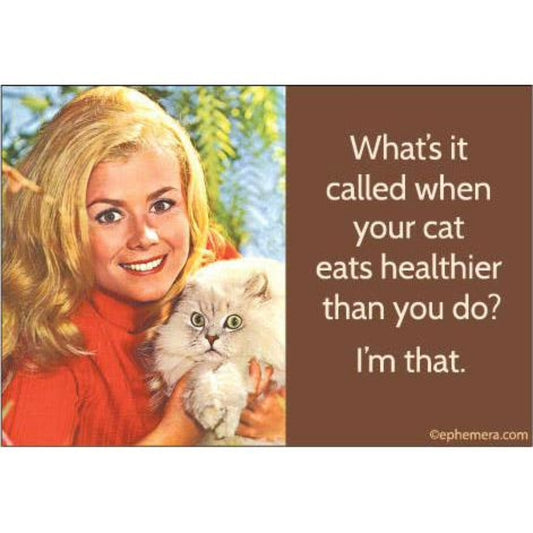 What's It Called When Your Cat Eats Healthier Than You Do? I'm That Rectangular Magnet | Funny Fridge Magnetic Surface Decor-Ephemera-The Bullish Store