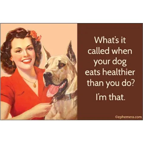 What's It Called When Your Dog Eats Healthier Rectangular Magnet | Refrigerator Magnetic Surface Decor