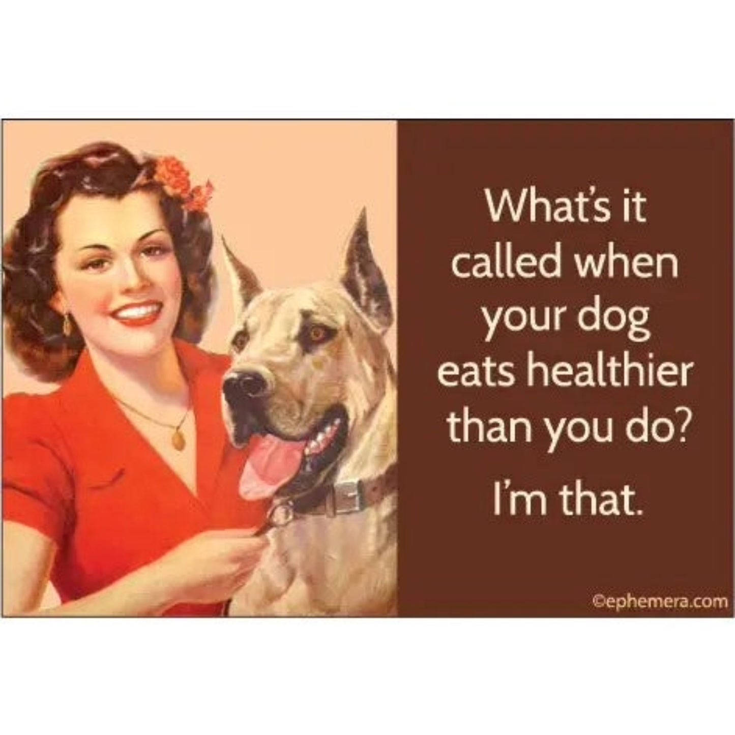 What's It Called When Your Dog Eats Healthier Rectangular Magnet | Refrigerator Magnetic Surface Decor-Ephemera-The Bullish Store