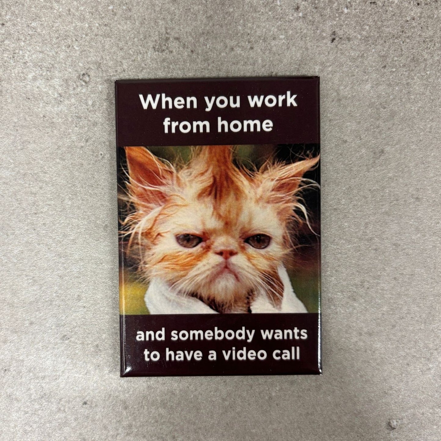 When You Work From Home and Somebody Wants to have a Video Call Funny Cat Magnet