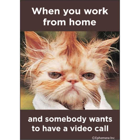 When You Work From Home and Somebody Wants to have a Video Call Funny Cat Magnet