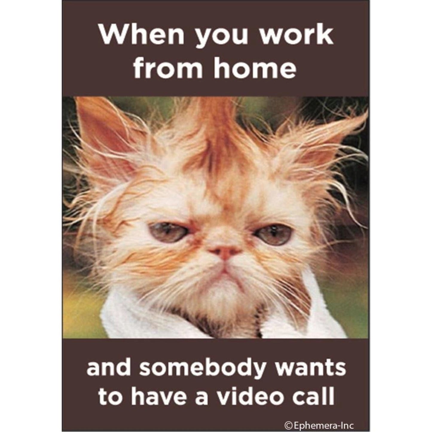When You Work From Home and Somebody Wants to have a Video Call Funny Cat Magnet-Ephemera-The Bullish Store
