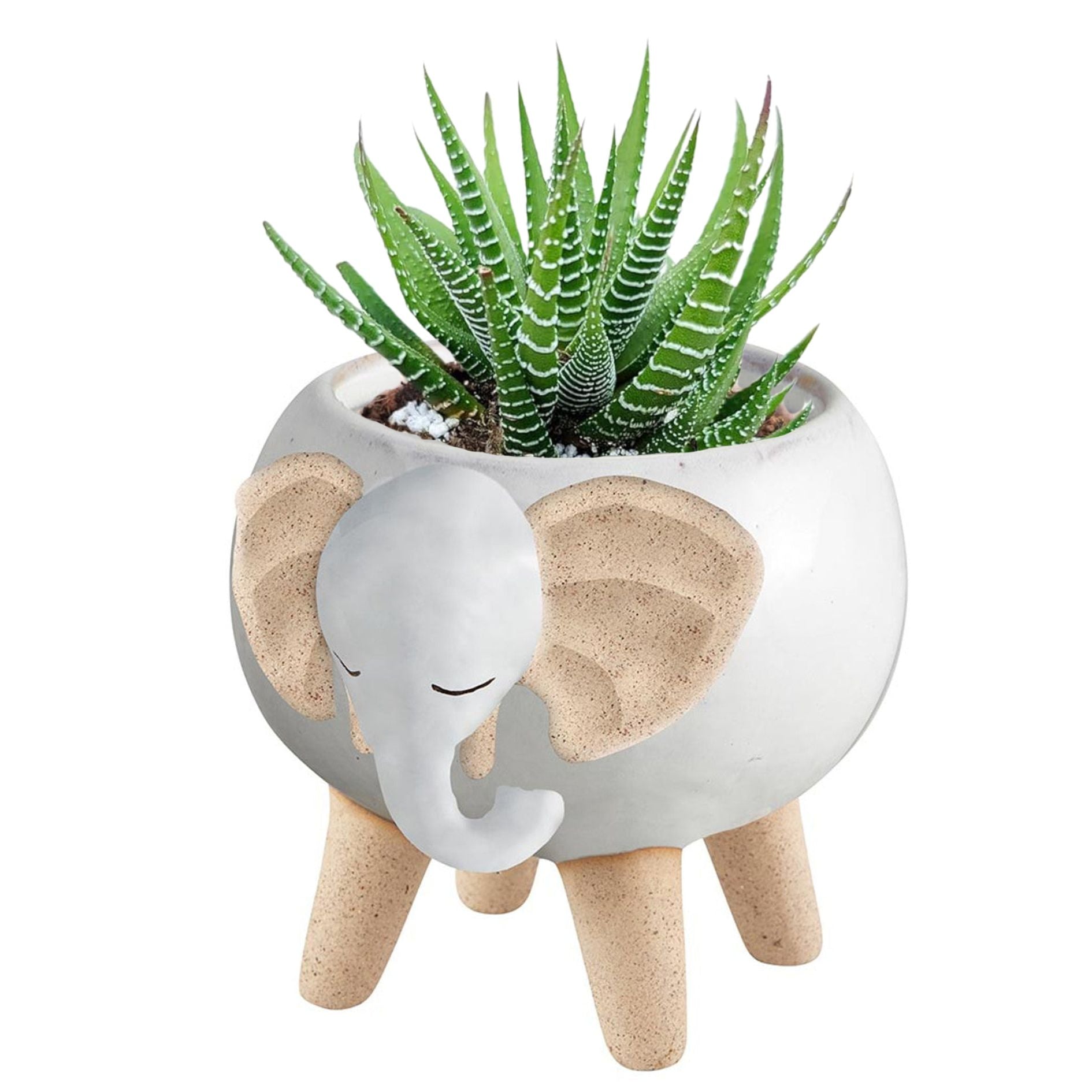 White Elephant Pot | Decorative Succulents Ceramic Planter | 2.5" Tall