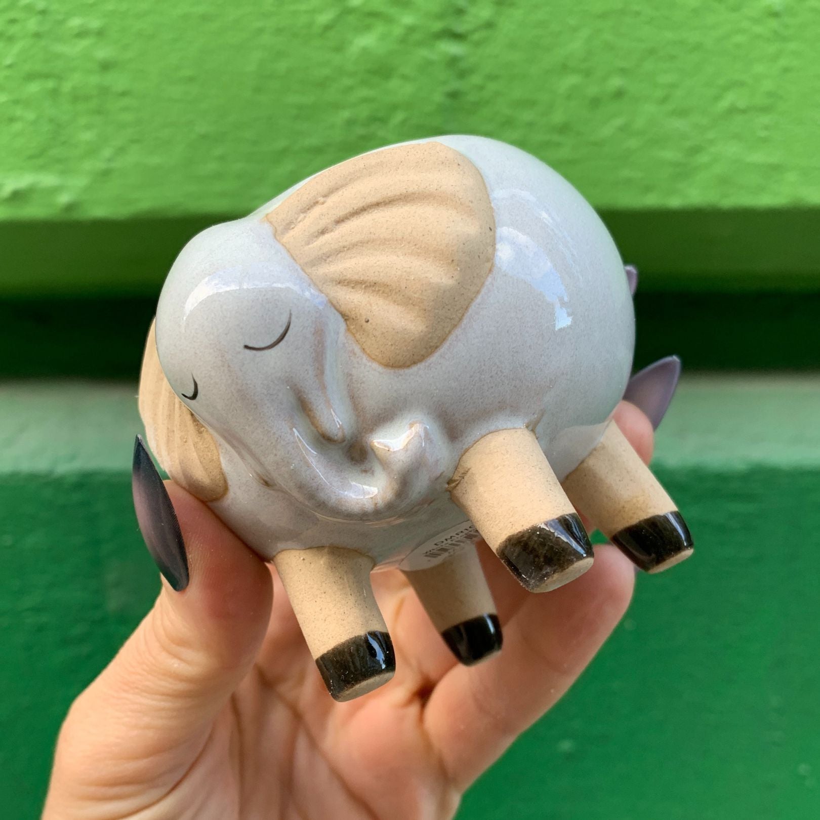 succulent elephant pot White Elephant Pot