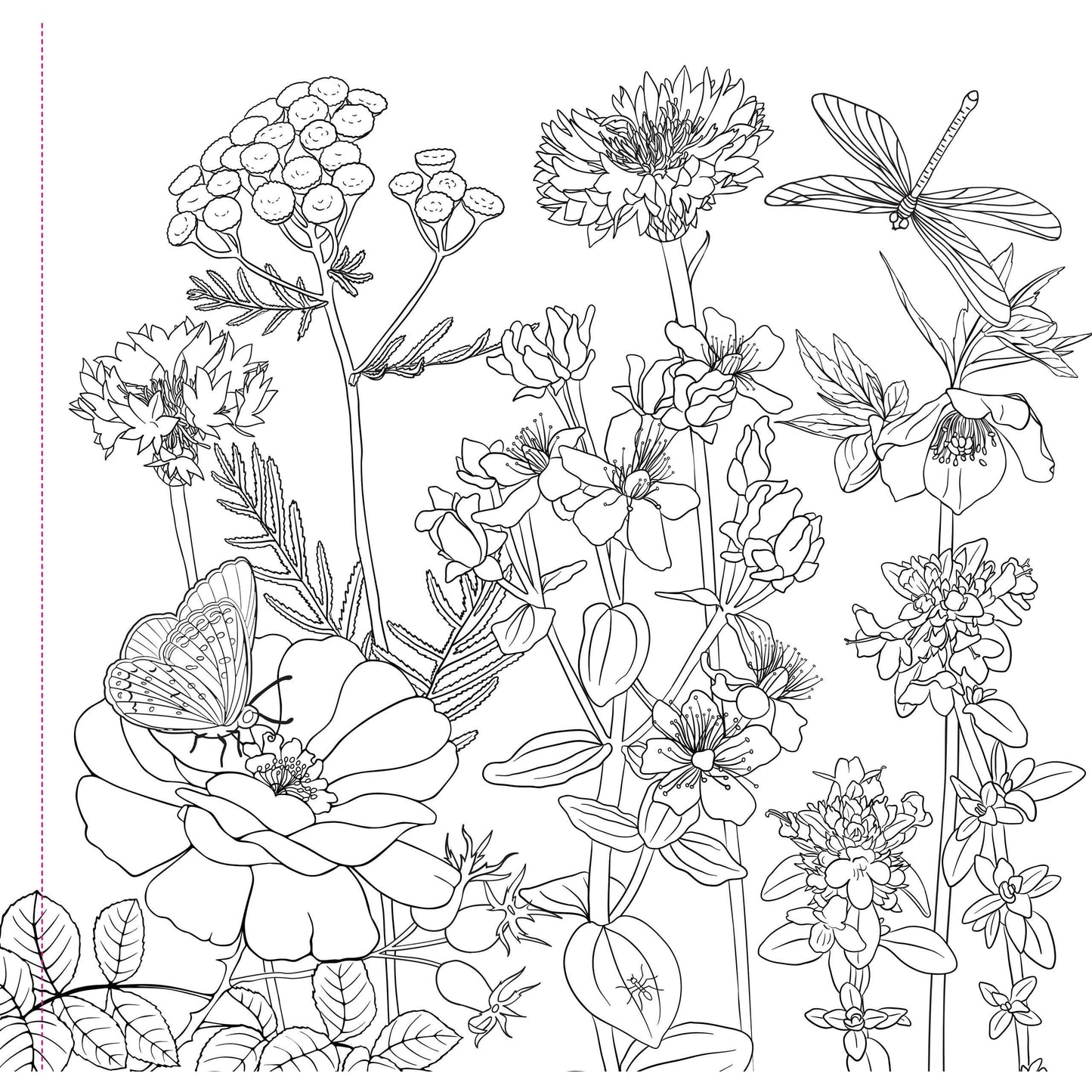 Wildflowers Adult Coloring Book | 31 Floral Designs on Premium Thick Pages for Relaxation & Creativity