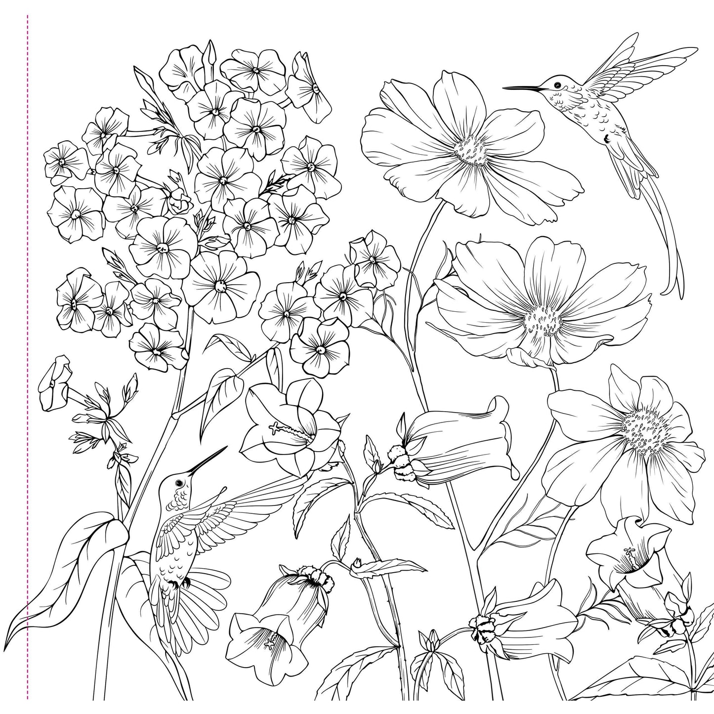Wildflowers Adult Coloring Book | 31 Floral Designs on Premium Thick Pages for Relaxation & Creativity