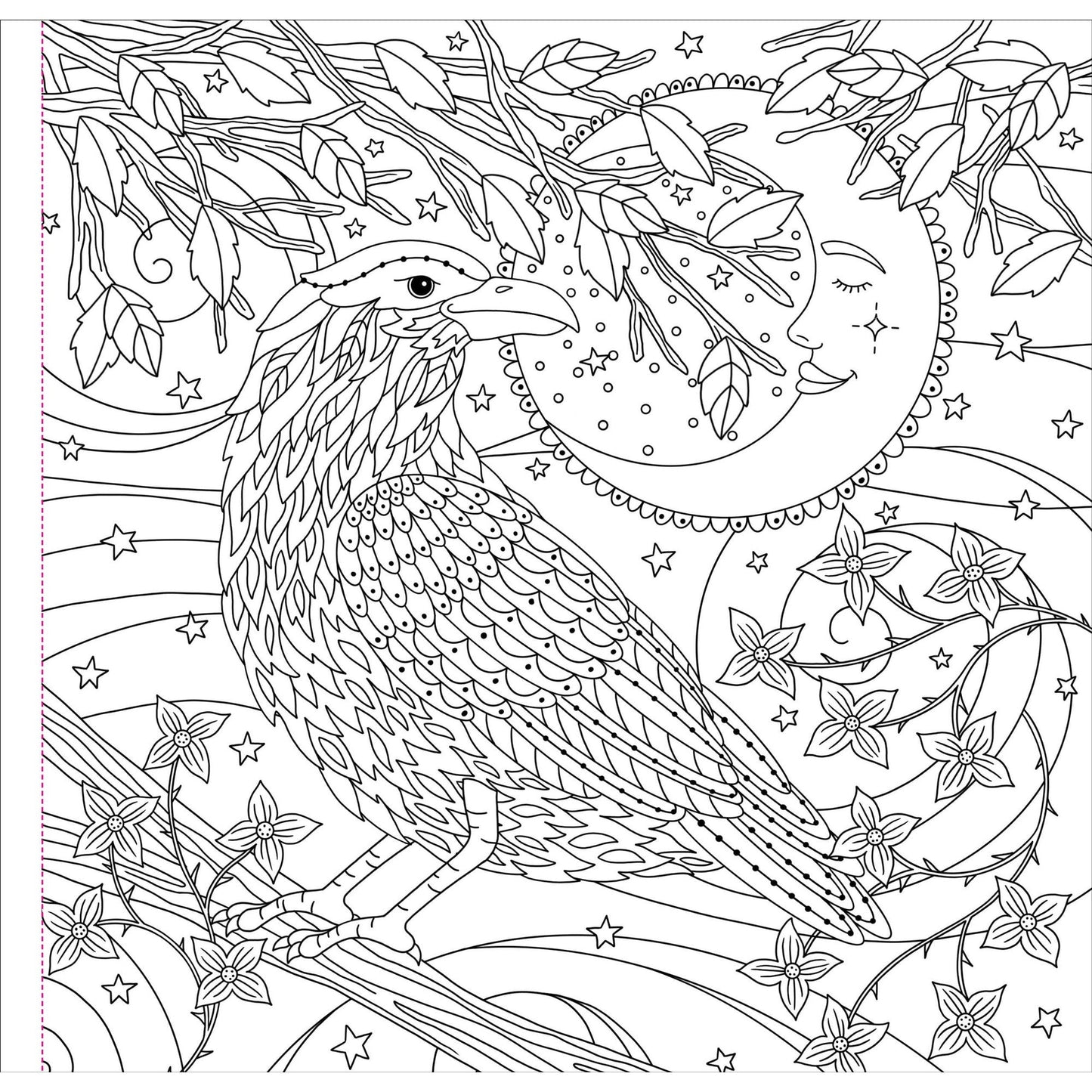 Witchcraft & Wonder Coloring Book | 31 Enchanting Mystical Illustrations Art Book