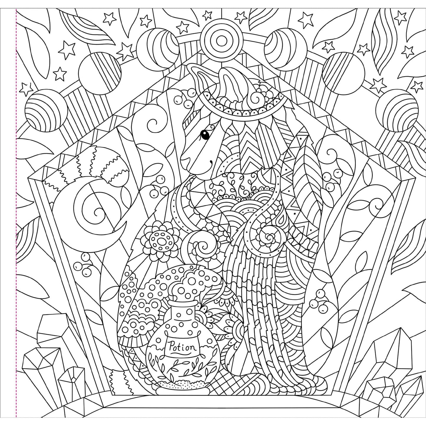 Witchcraft & Wonder Coloring Book | 31 Enchanting Mystical Illustrations Art Book