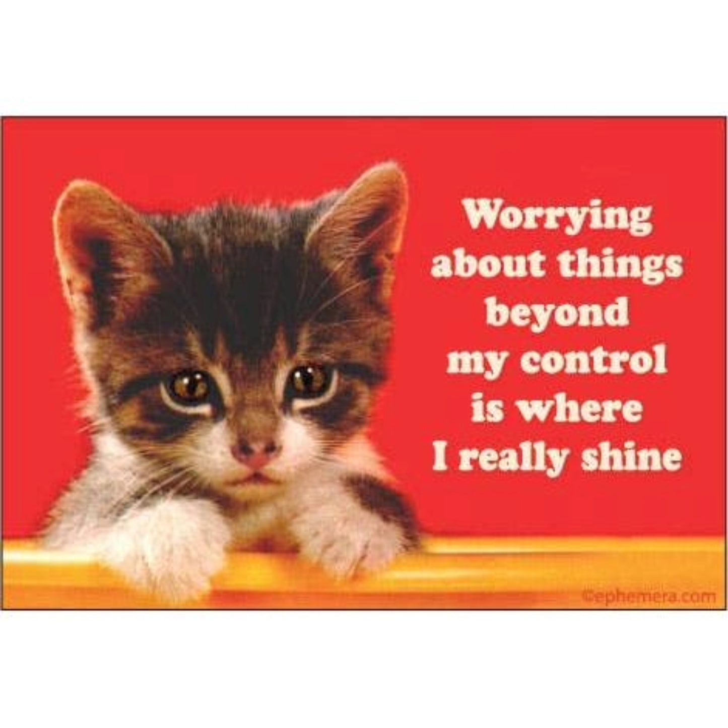 Worrying About Things Beyond My Control Is Where I Really Shine Magnet | 3" x 2"-Ephemera-The Bullish Store
