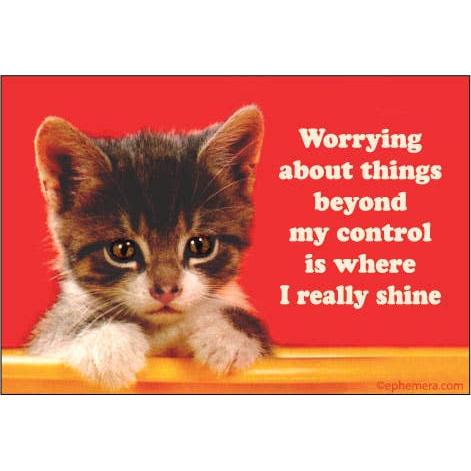 Worrying About Things Beyond My Control Is Where I Really Shine Magnet | 3" x 2"