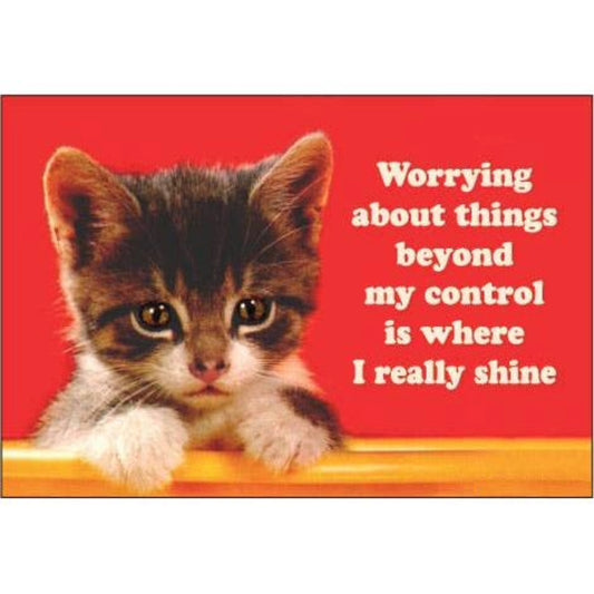 Worrying About Things Beyond My Control Is Where I Really Shine Magnet | 3" x 2"-Ephemera-The Bullish Store