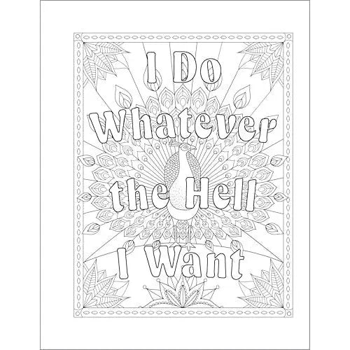You Are a F-cking Rock Star Adult Coloring Book | Funny Motivational Swear Word Coloring Book