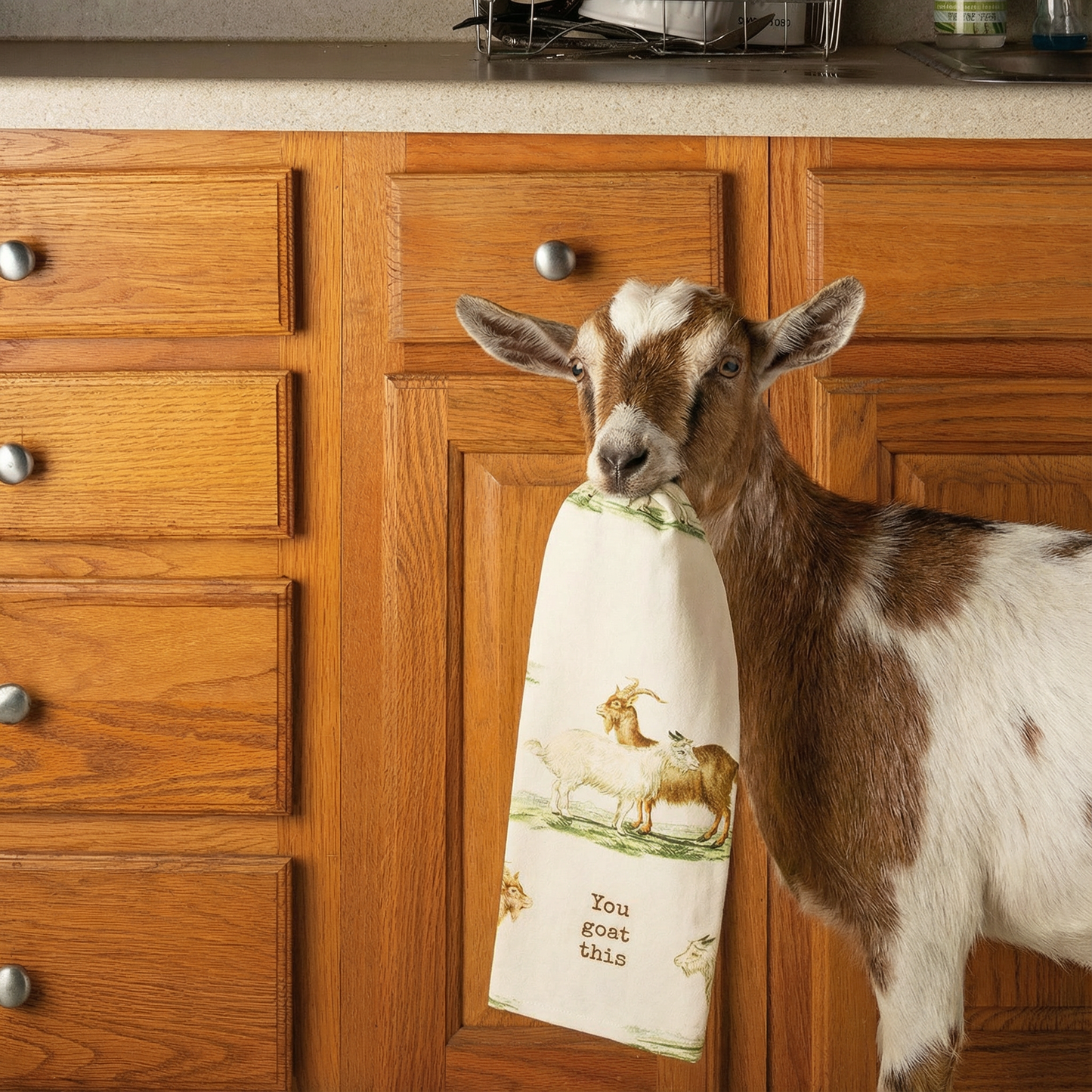 You Goat This Dish Cloth Towel | Cotten Linen Novelty Tea Towel | Cute Kitchen Hand Towel | 18" x 28"