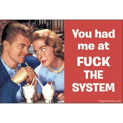 You Had Me At F*ck The System Rectangular Fridge Magnet | 3" x 2"