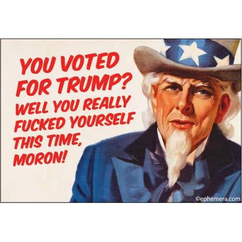 You Voted for Trump? Well You Really Fucked Yourself This Time Magnet | Brutally Honest Political Humor Fridge Magnet