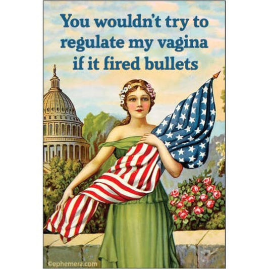 You Wouldn't Try to Regulate My Vagina Magnet-Ephemera-The Bullish Store
