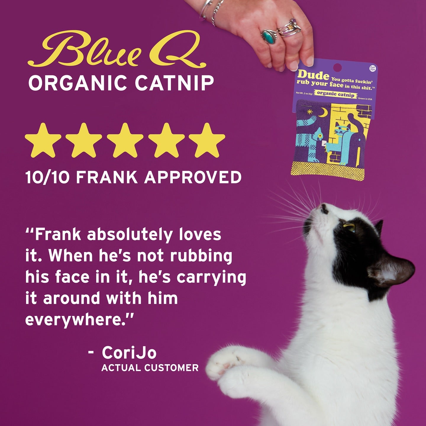 Everybody Dance Meow Club Cats Catnip Toy | Premium Organic Catnip in Illustrated Cotton Pouch | BlueQ at GetBullish