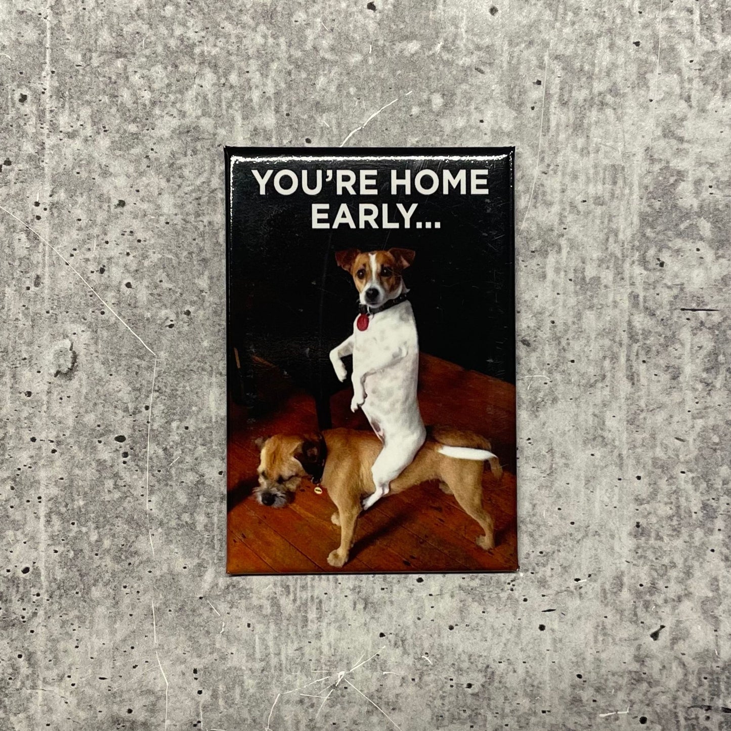 You're Home Early …Rectangular Magnet | Fridge Magnetic Surface Decor