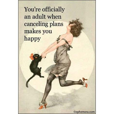 You’re Officially an Adult When Canceling Plans Makes You Happy Magnet | Funny Relatable Humor Fridge Magnet