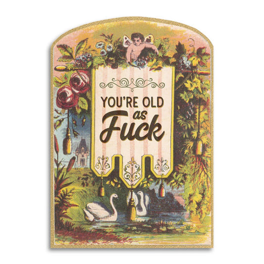 Decorative sign with vintage-style design and text 'You're Old as Fuck' on a white background.