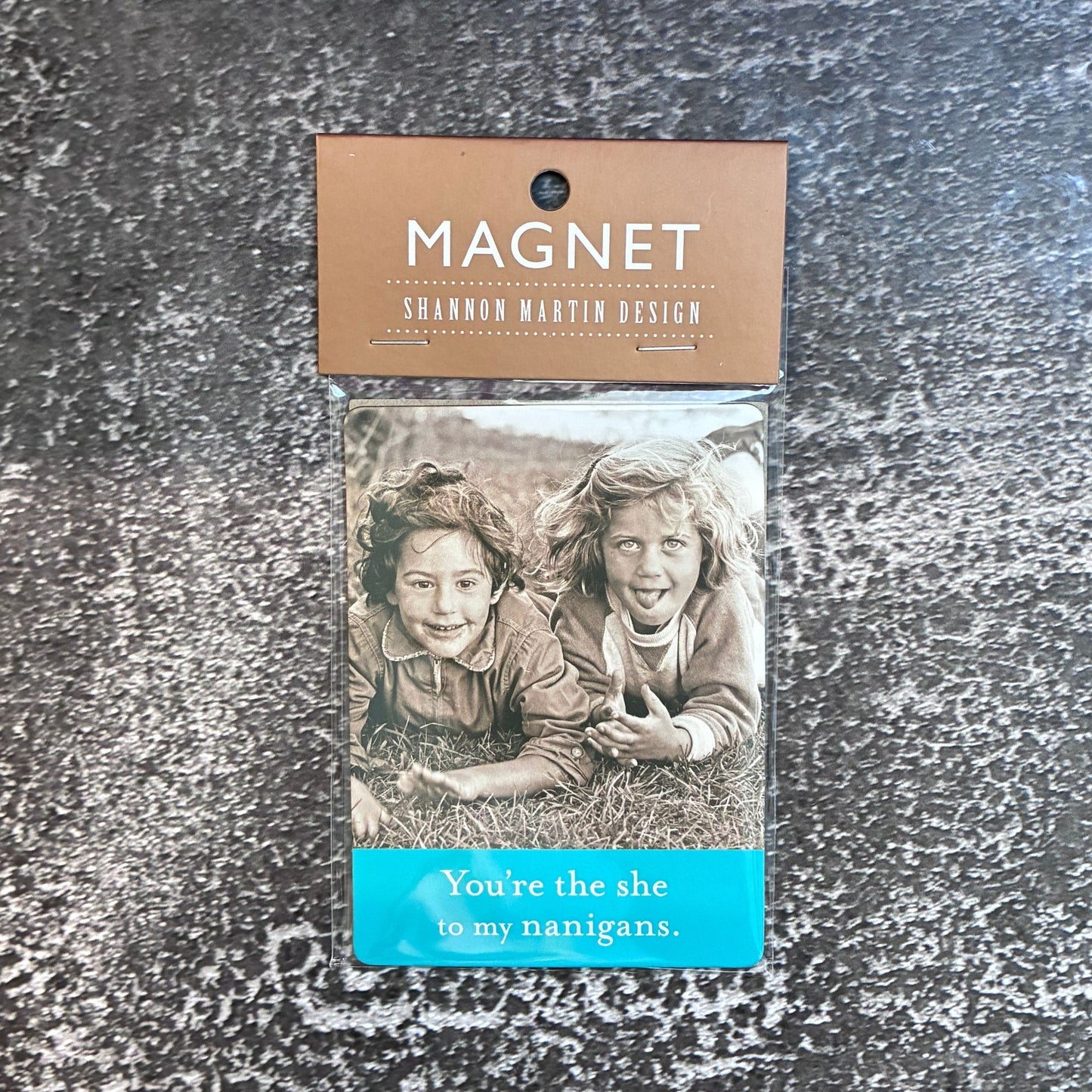 You're The She To My Nanigans Shenanigans Magnet | Funny Fridge Magnet | Witty Small Gift or Card Insert