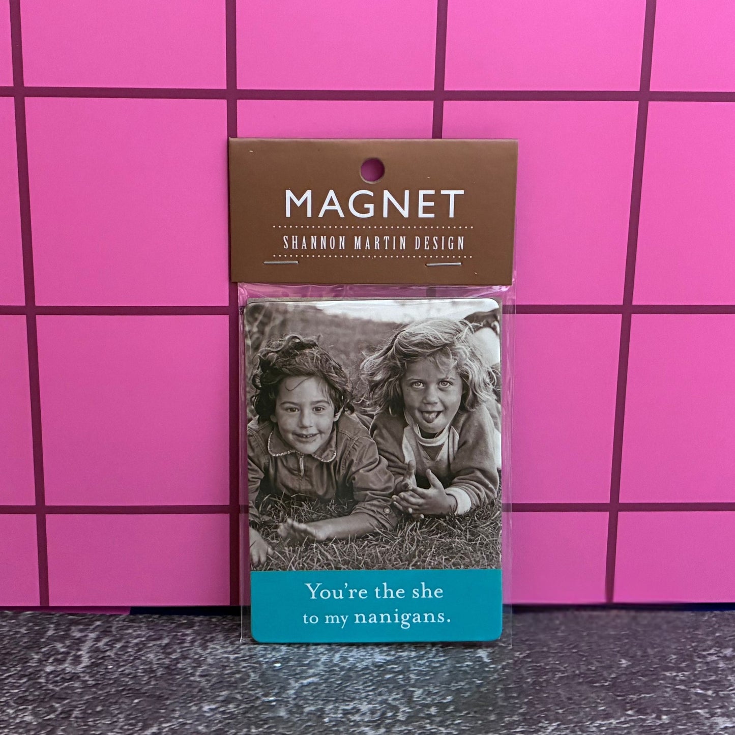 You're The She To My Nanigans Shenanigans Magnet | Funny Fridge Magnet | Witty Small Gift or Card Insert