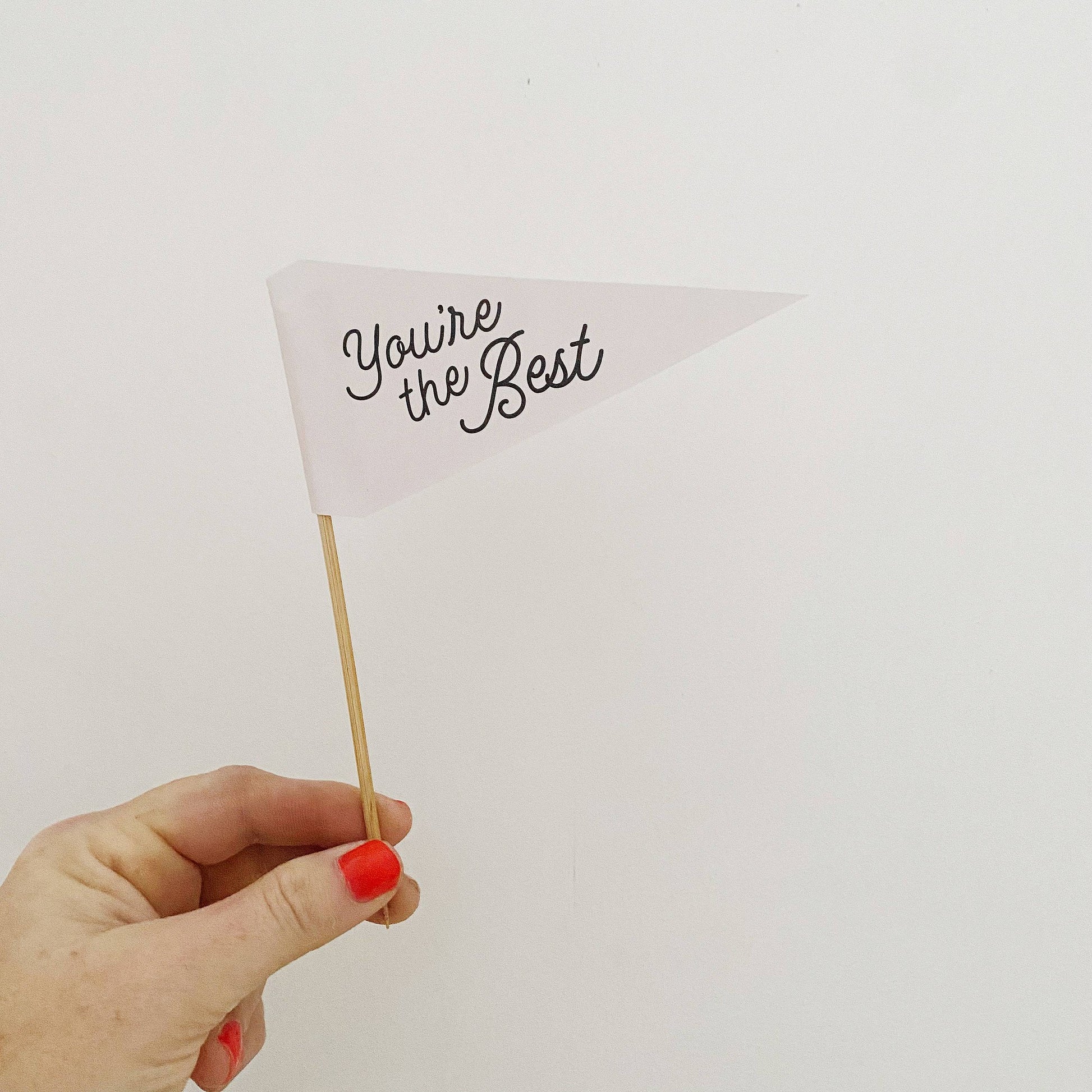 You're the Best Pennant Flag | Handmade Plant or Cake Topper Decor