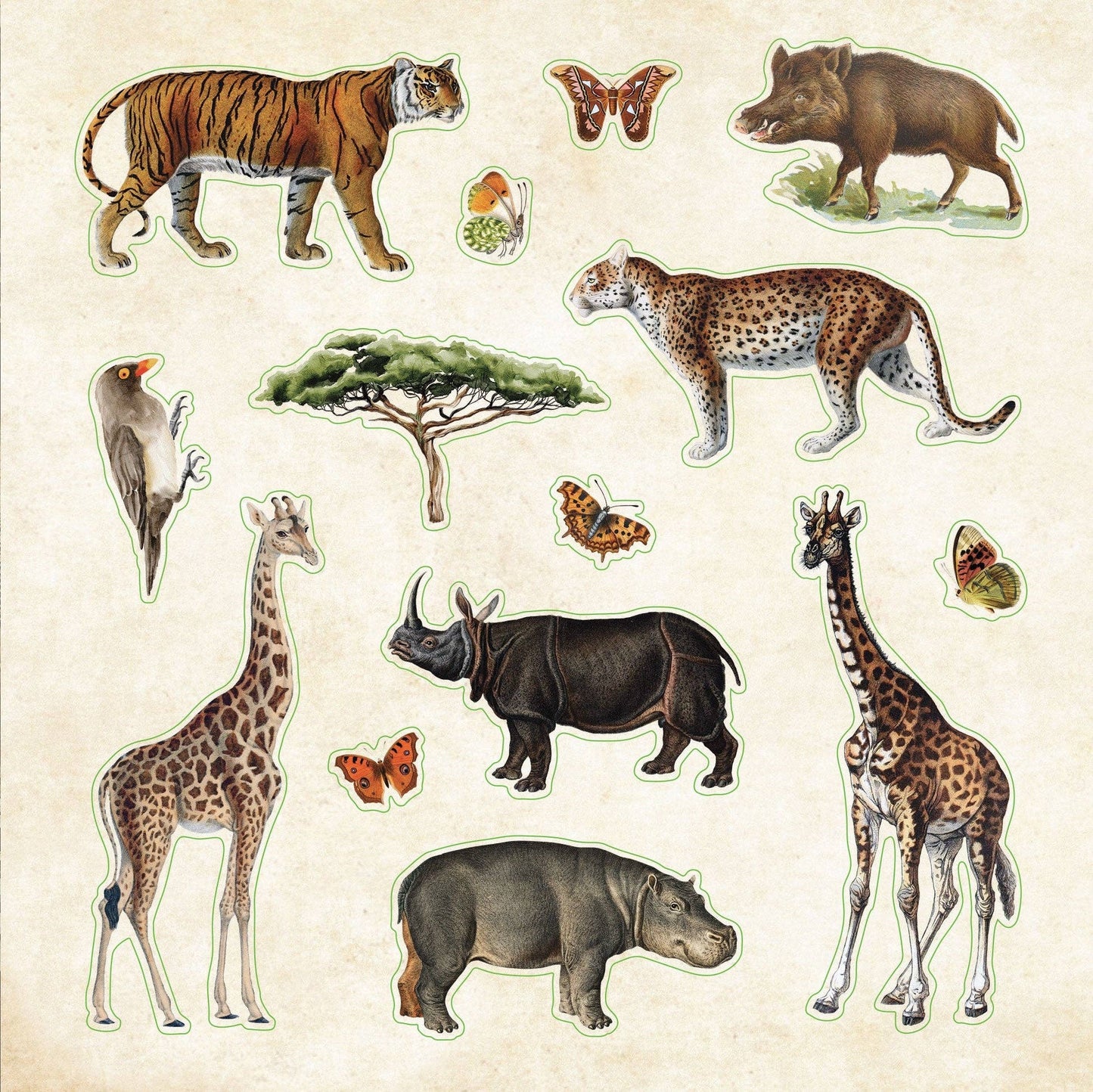 Zoological Ephemera Sticker Books | 50 Pages Animal Lovers Decals Collection | 6.5''