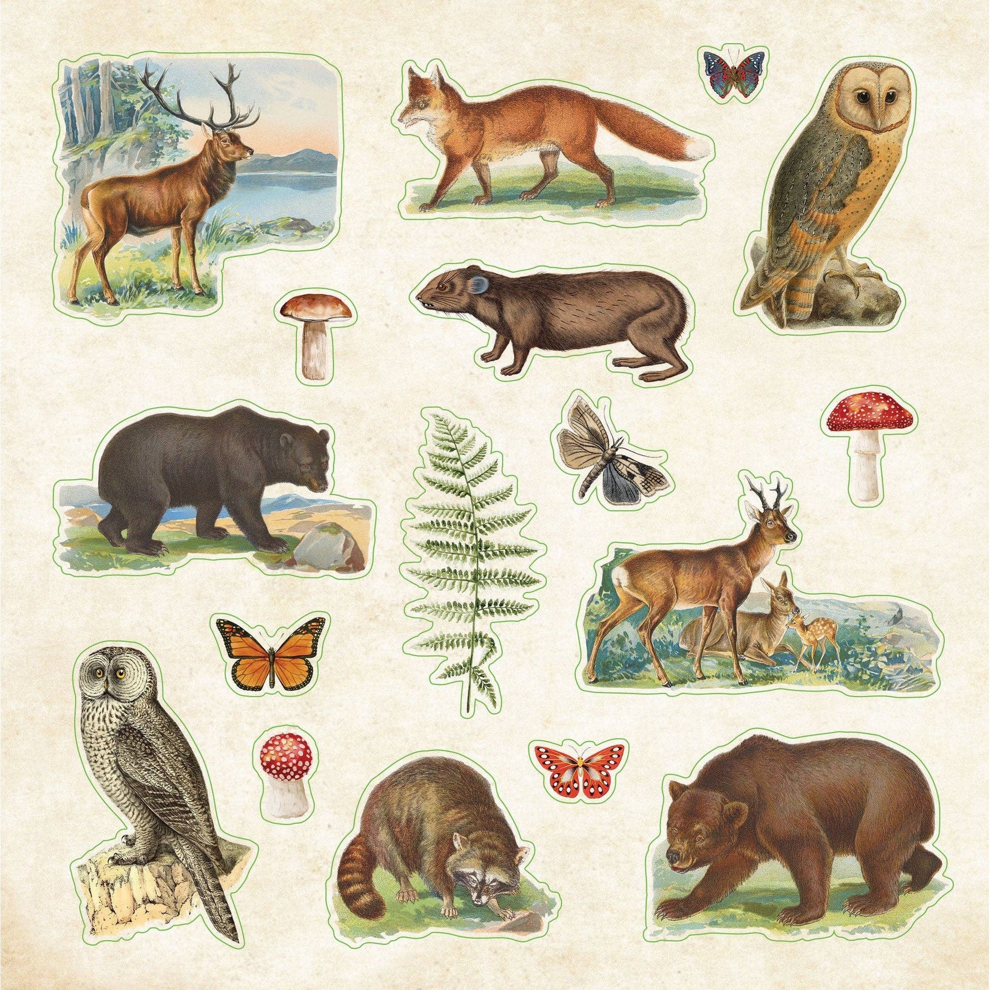 Zoological Ephemera Sticker Books | 50 Pages Animal Lovers Decals Collection | 6.5''