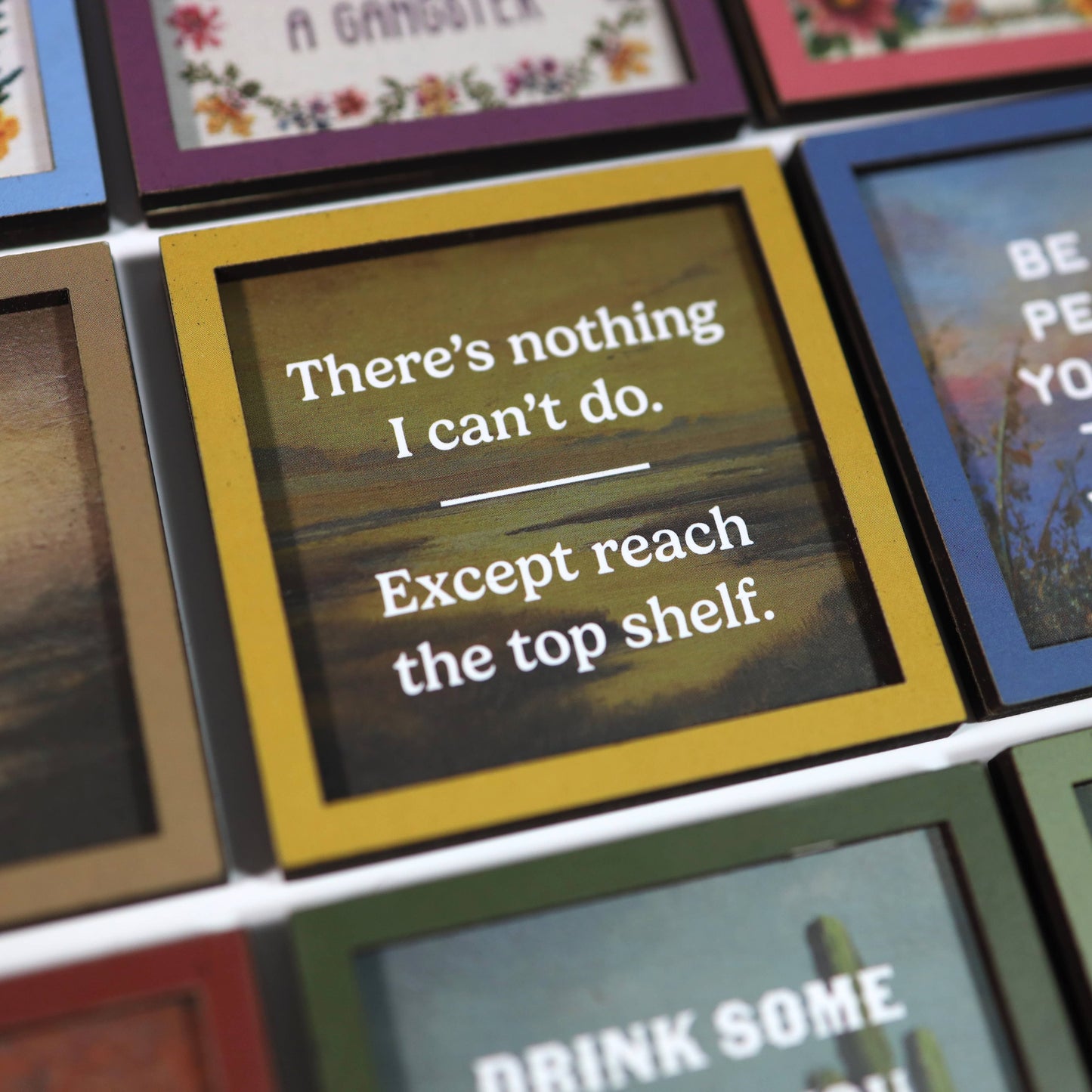 There's Nothing I Can't Do Except Reach the Top Shelf | Funny Wooden Magnet