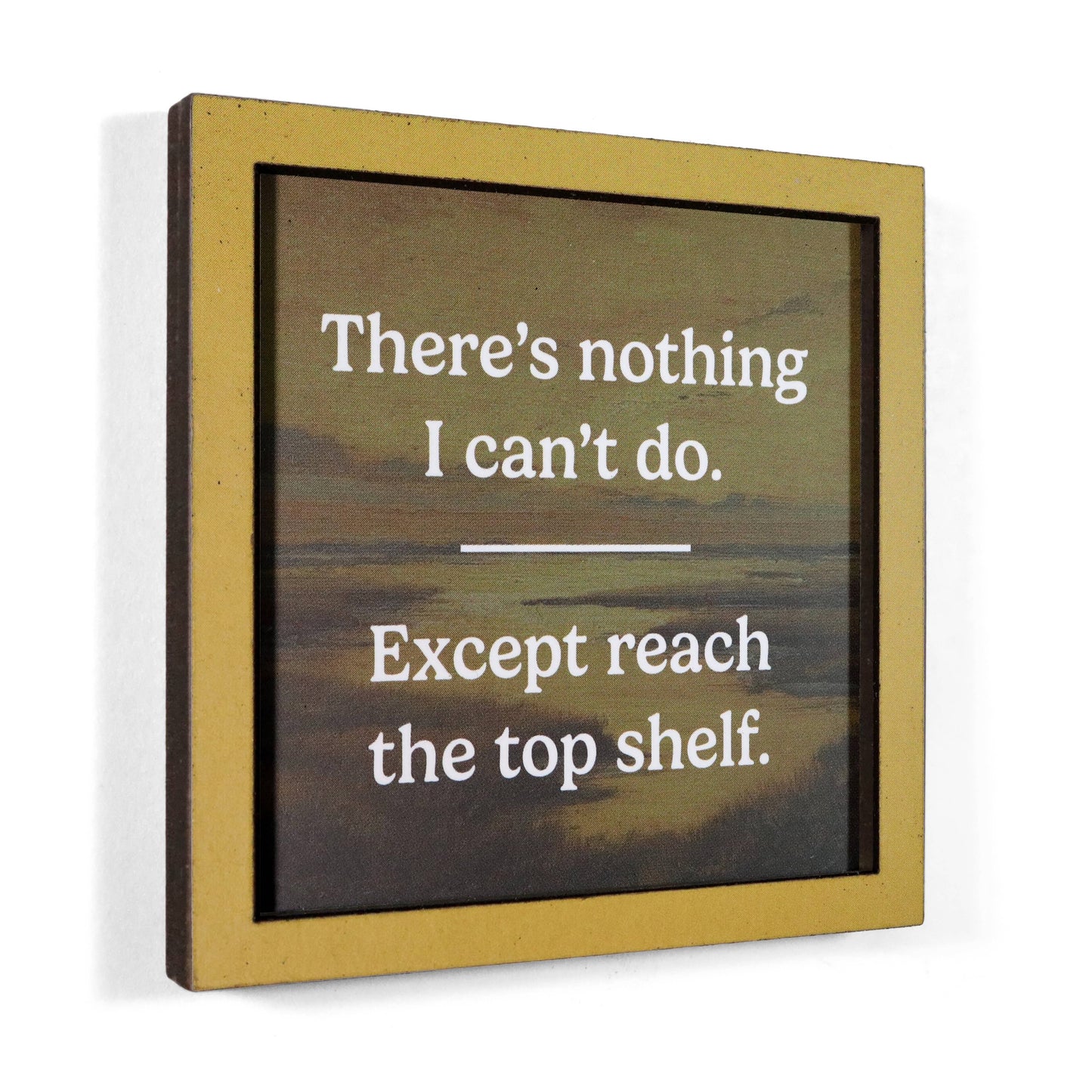 There's Nothing I Can't Do Except Reach the Top Shelf | Funny Wooden Magnet