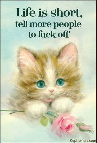 Kitten with a rose and text "Life is short, tell more people to fuck off."