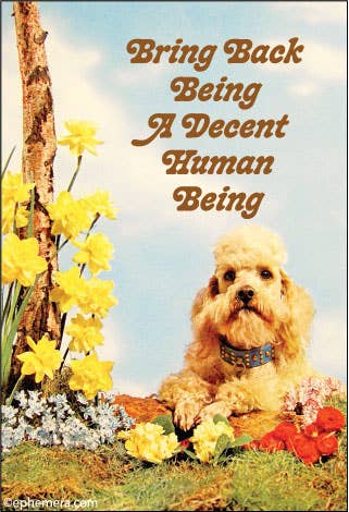 A novelty magnet featuring a fluffy cream-colored dog sitting outdoors among yellow daffodils, red flowers, grass, and a tree trunk against a blue sky. The text at the top reads, 'Bring Back Being A Decent Human Being' in brown lettering.