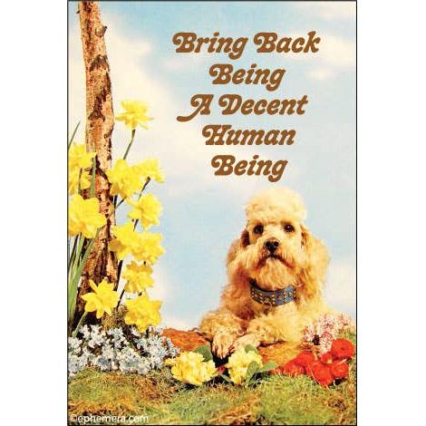 A novelty magnet featuring a fluffy cream-colored dog sitting outdoors among yellow daffodils, red flowers, grass, and a tree trunk against a blue sky. The text at the top reads, 'Bring Back Being A Decent Human Being' in brown lettering.