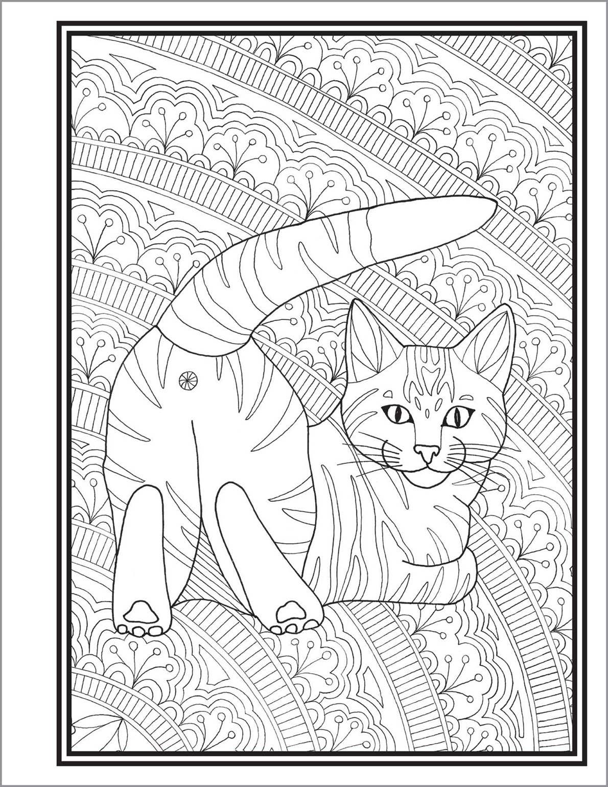 Butts, Bleps, and Beans Cat Coloring Book for Adults | Funny Meme Cats | 35 Unique One-Sided Pages