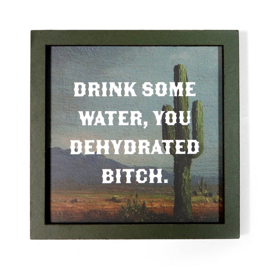 Framed artwork magnet with a cactus and desert landscape, featuring text 'Drink some water, you dehydrated bitch.'