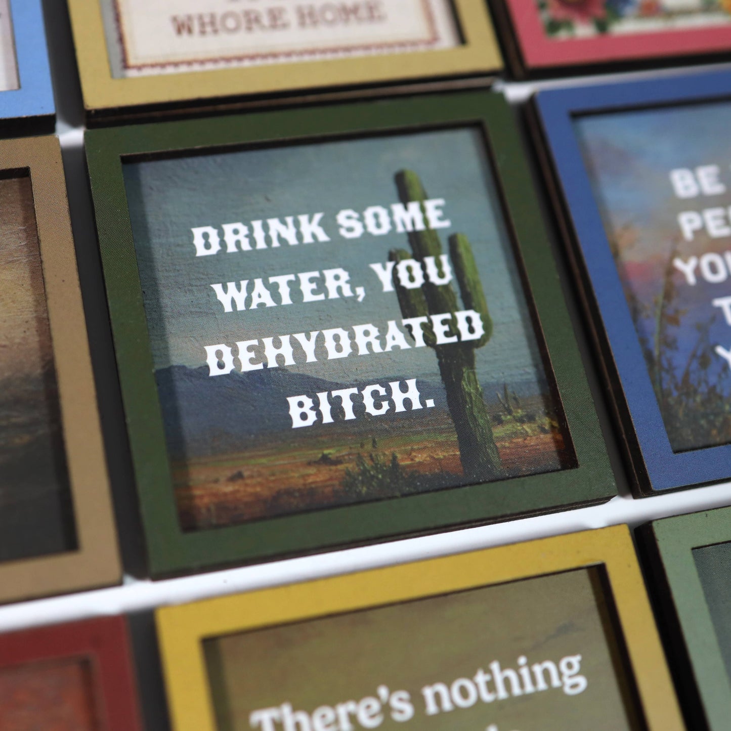 Drink Some Water You Dehydrated Bitch Funny Wooden Magnet