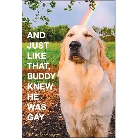 And Just Like That, Buddy Knew He Was Gay Dog Magnet