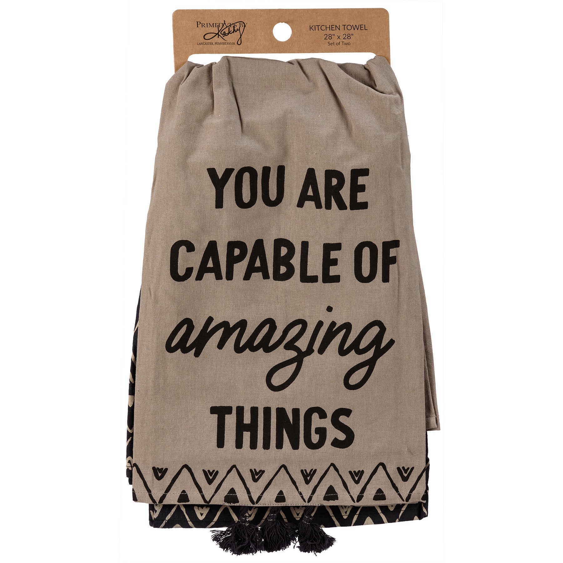 Capable Of Amazing Things Dish Cloth Towel Set | 2 Coordinating Cotton Towels