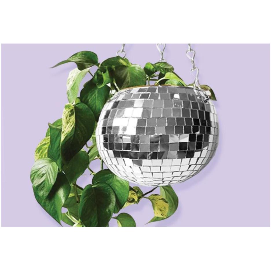 Styled photo of 6" diameter Disco Hanging Planter. Your plants will shine hanging from above.