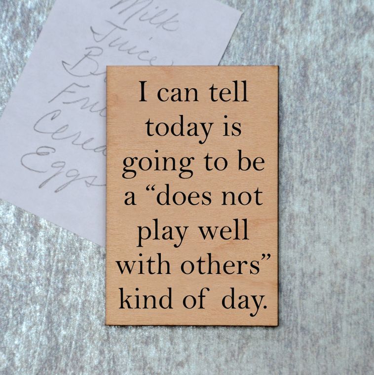 Does Not Play Well With Others Funny Wood Refrigerator Magnet | 2" x 3"