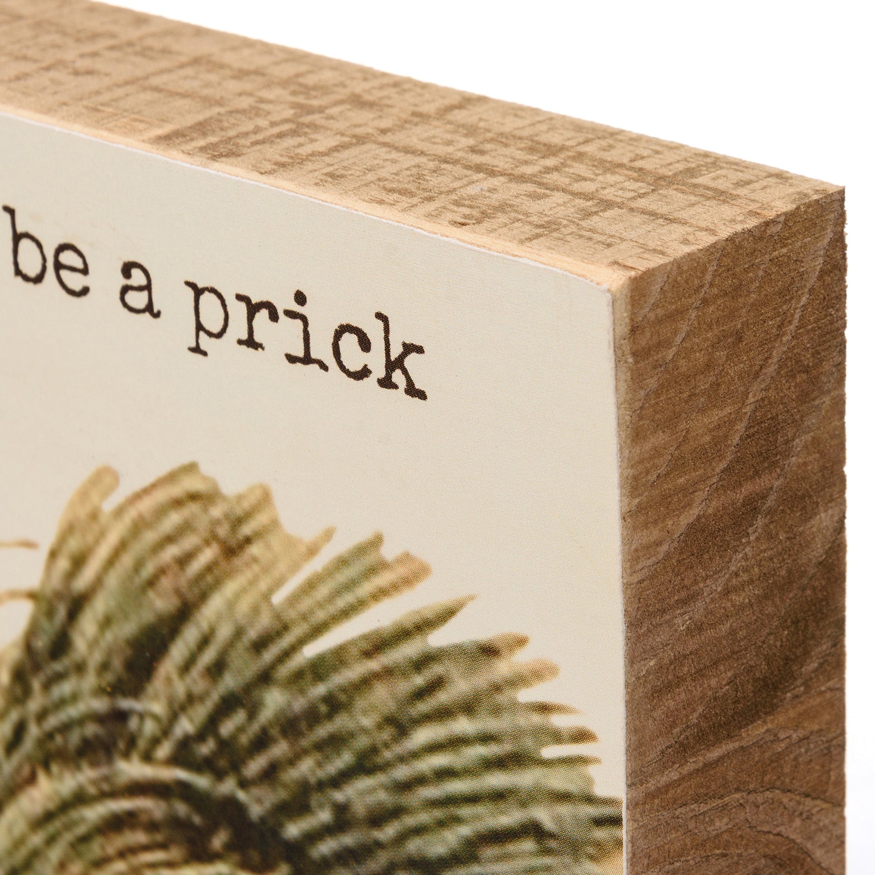 Don't Be A Prick Wooden Block Sign | Porcupine