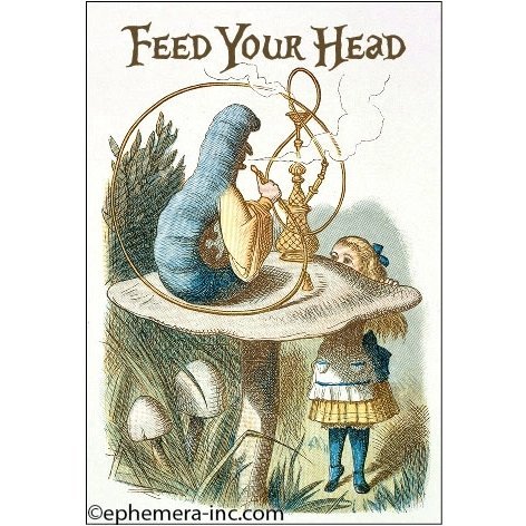 Feed Your Head Magnet | 2" x 3
