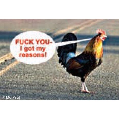 Fuck You - I Got My Reasons Chicken Magnet | 2" x 3"