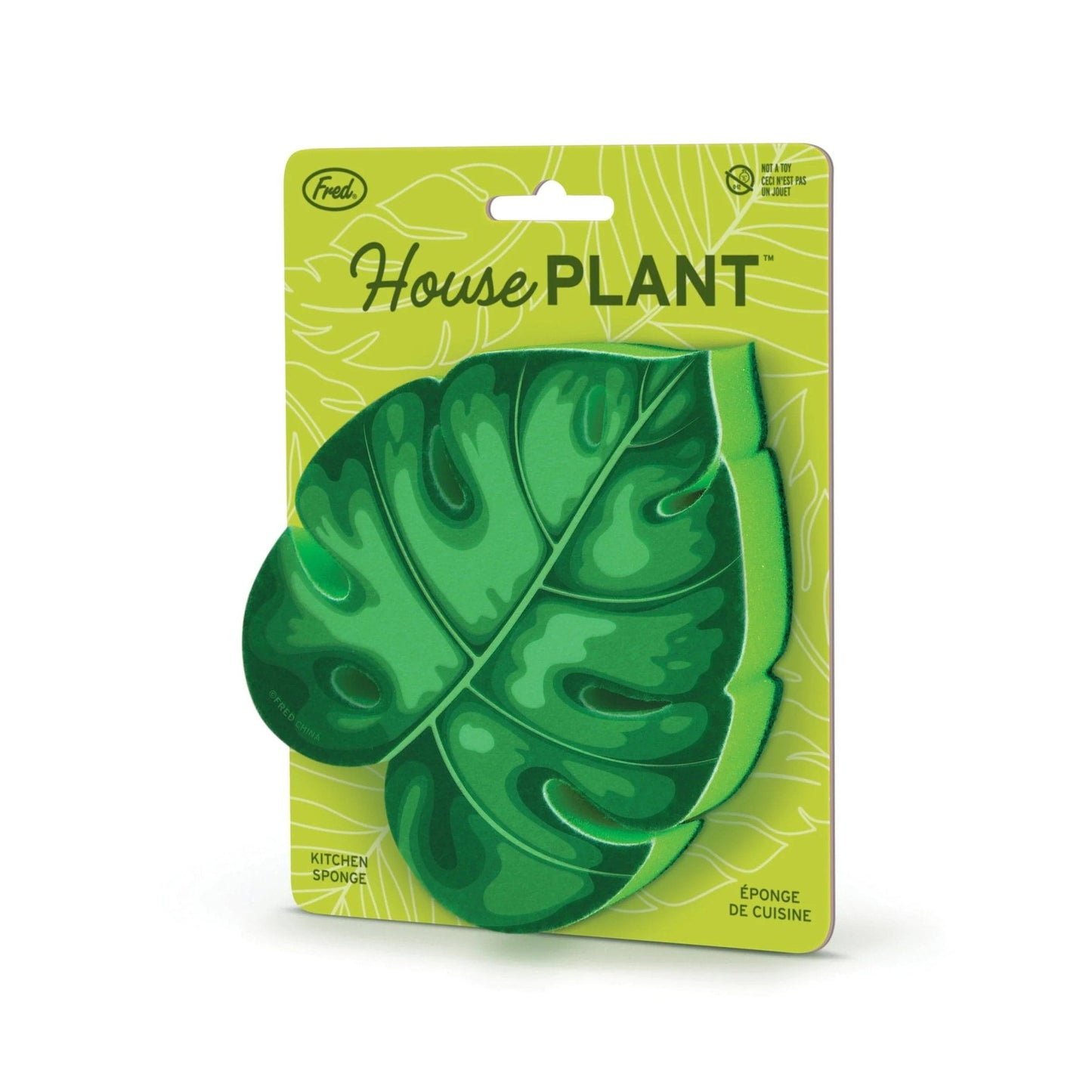 House Plant Monstera Leaf Kitchen Sponge