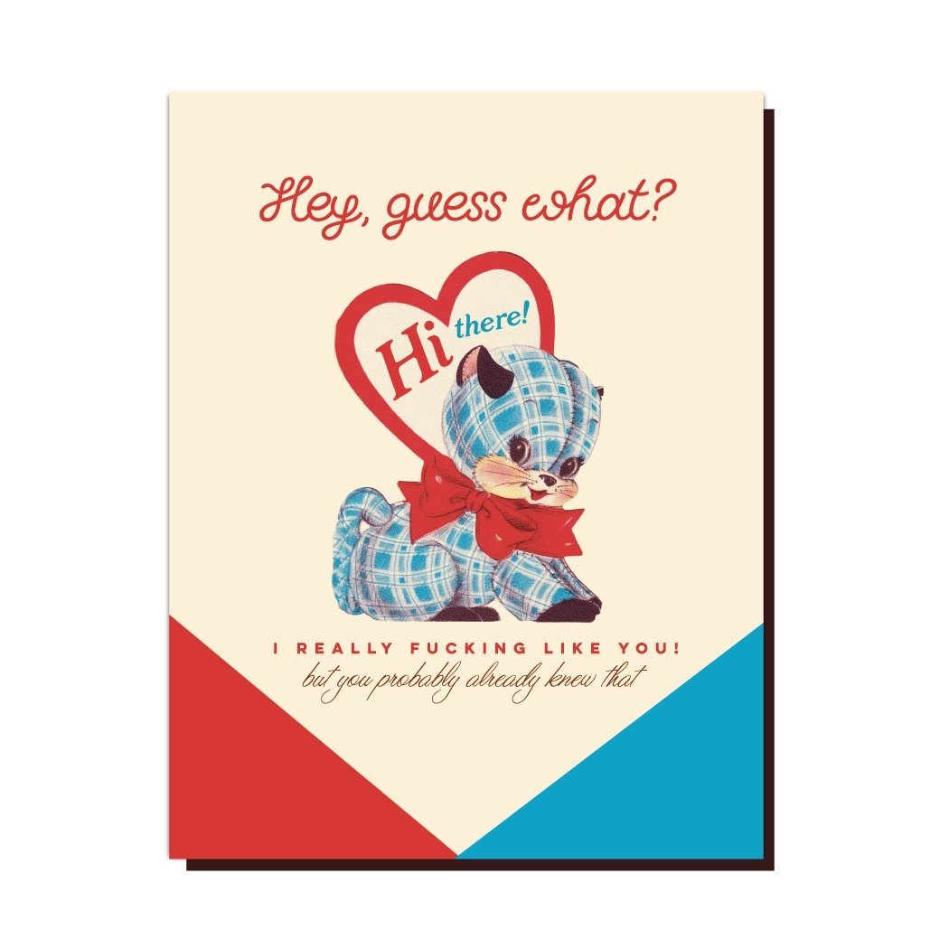 I Really Fucking Like You But You Probably Already Knew That Greeting Card