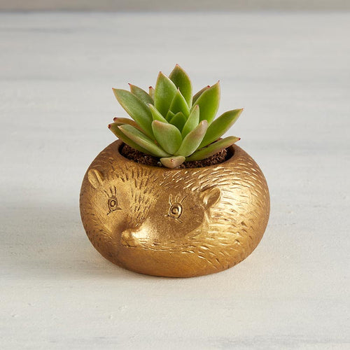 Mole Gold Metallic Mini Planter Pot