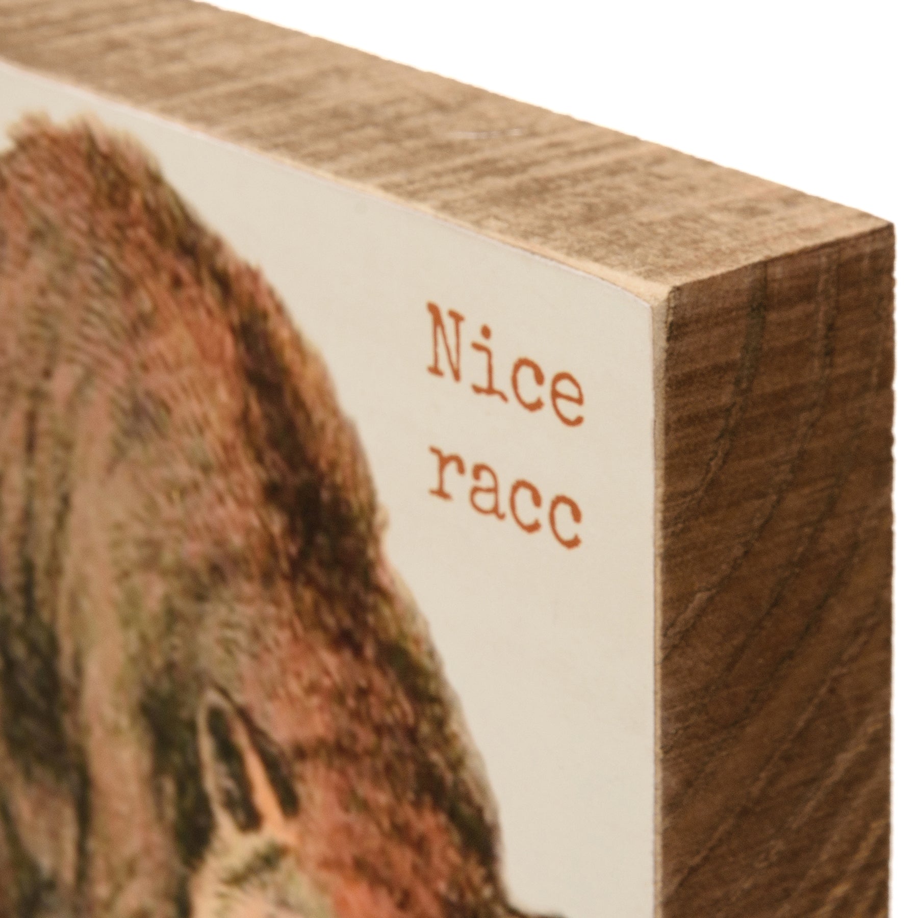 Nice Racc Wooden Block Sign | Raccoon